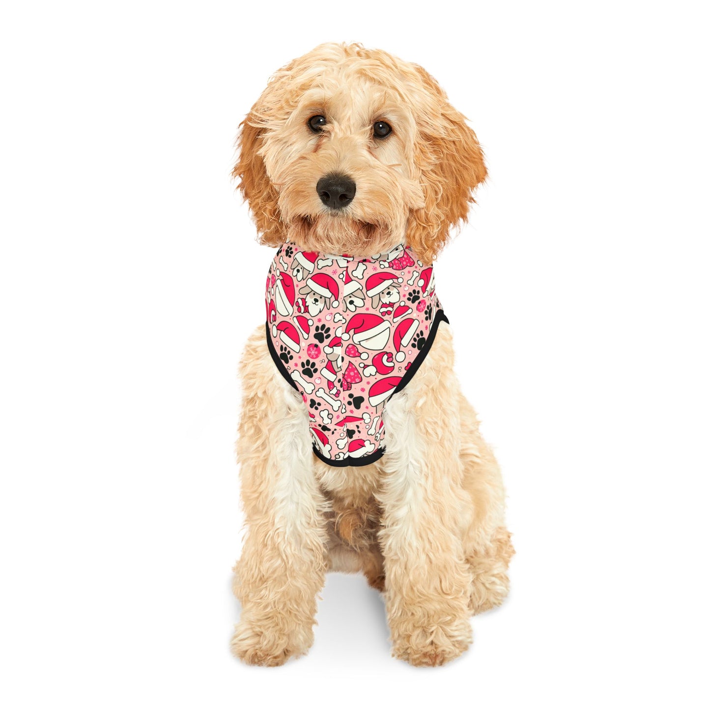 Elf Paws Pet Hoodie