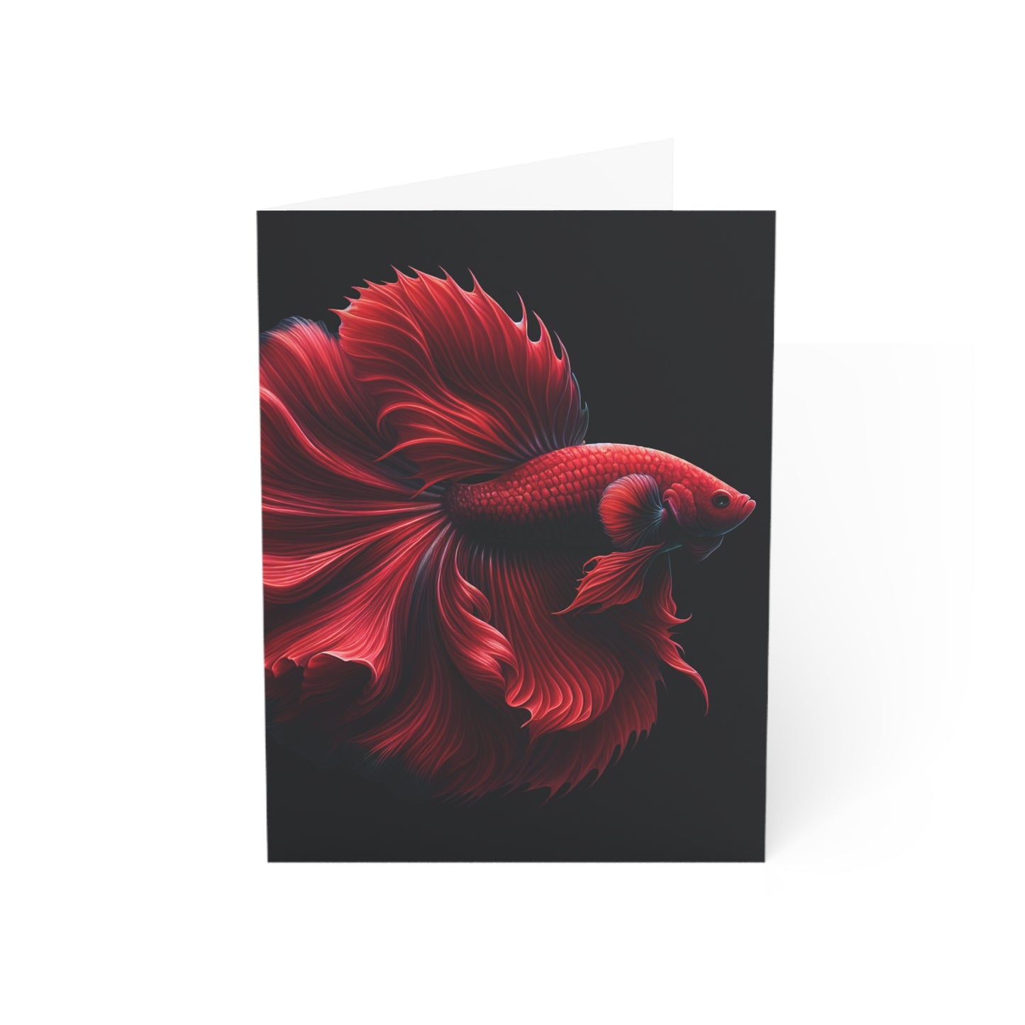 Siamese Fighting Fish (Betta) Red Male Greeting Cards BLANK (1, 10, 30, and 50pcs)