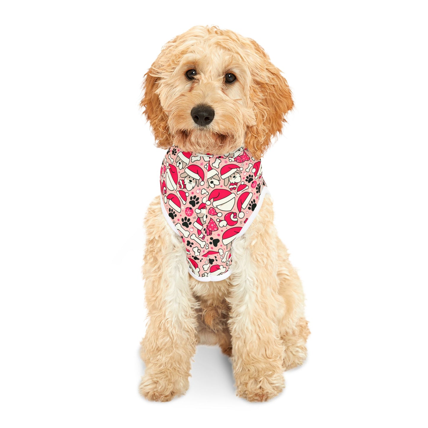 Elf Paws Pet Hoodie