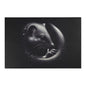 Wild Stoat Collection Area Rugs