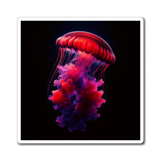 Jellyfish Collection Magnets