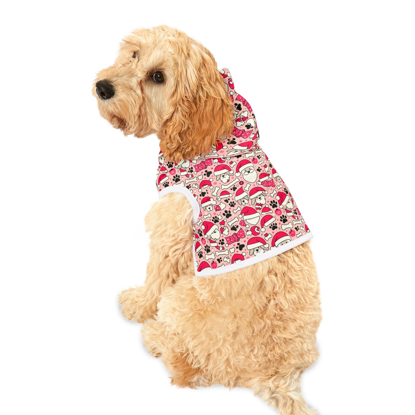 Elf Paws Pet Hoodie