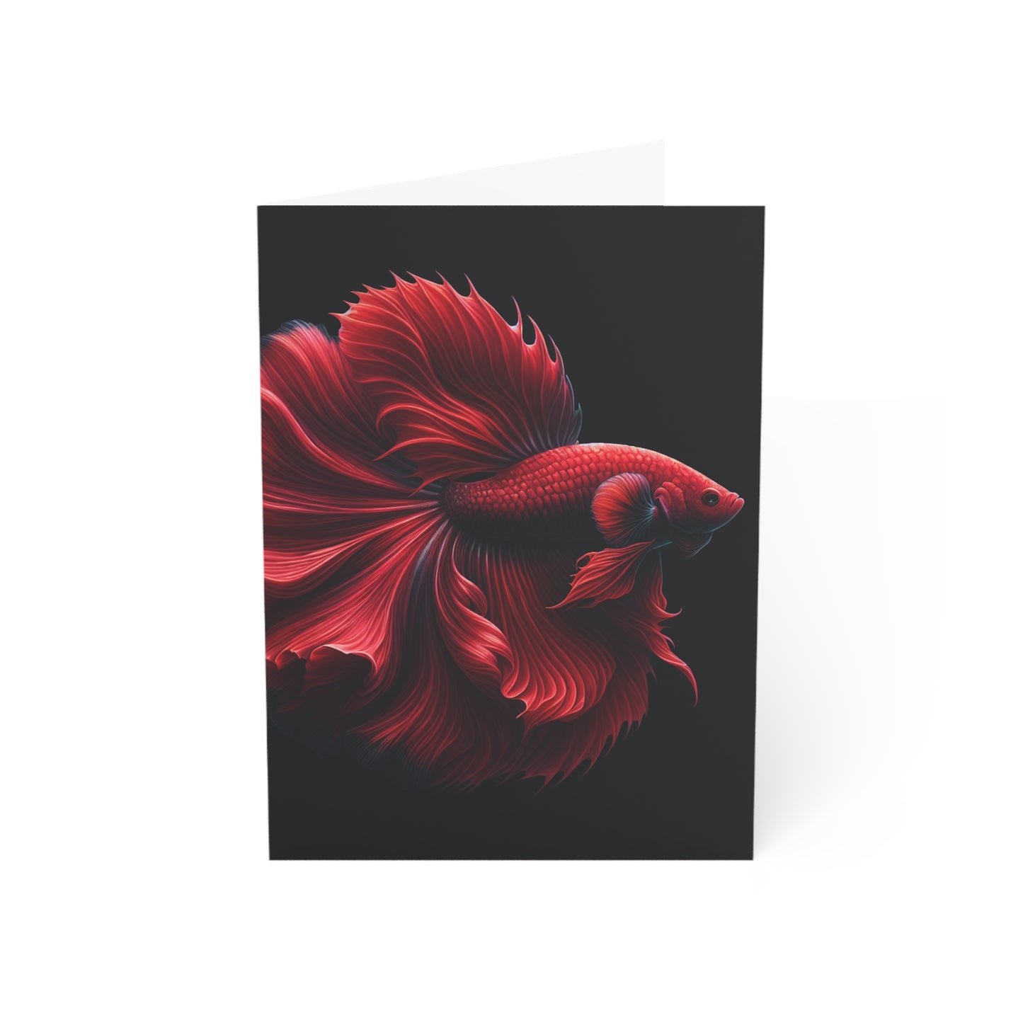 Siamese Fighting Fish (Betta) Red Male Greeting Cards BLANK (1, 10, 30, and 50pcs)